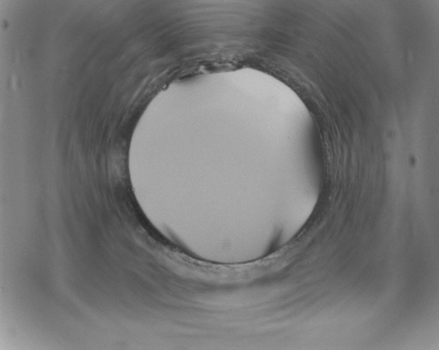 X0000075830035200610151531