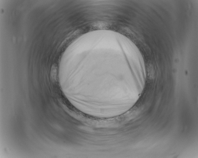 X0000075830036200610151531