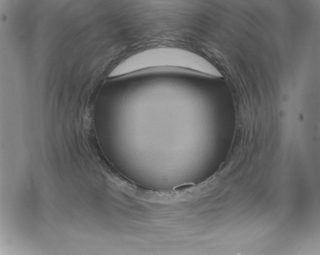 X0000075830037200610151531