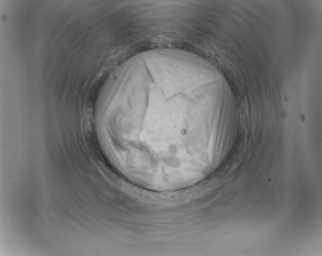 X0000075830038200610151531