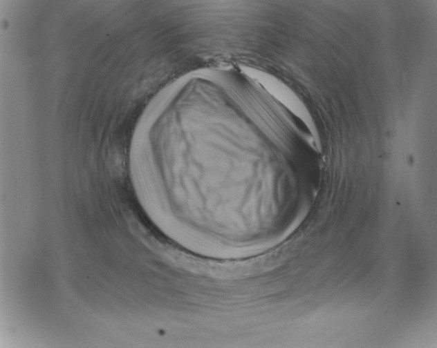 X0000075830039200610151531