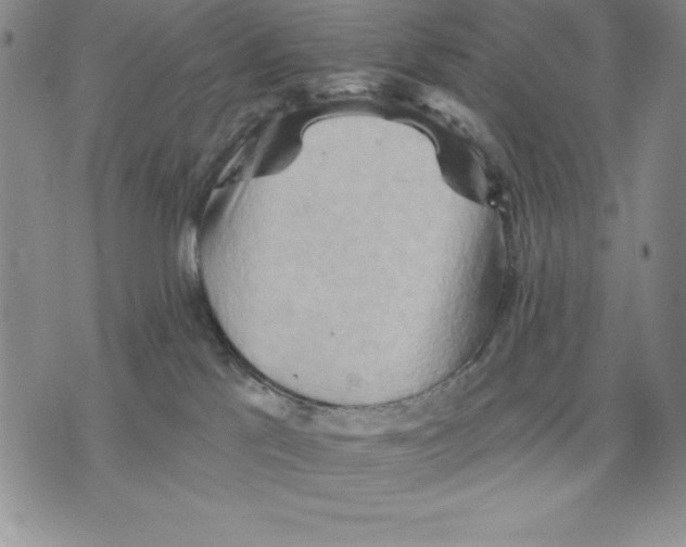 X0000075830041200610151531