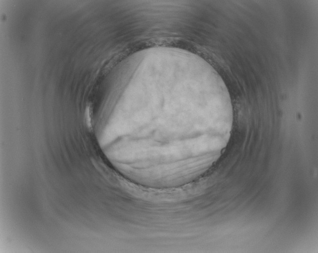 X0000075830042200610151531