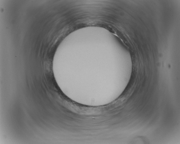 X0000075830044200610151531