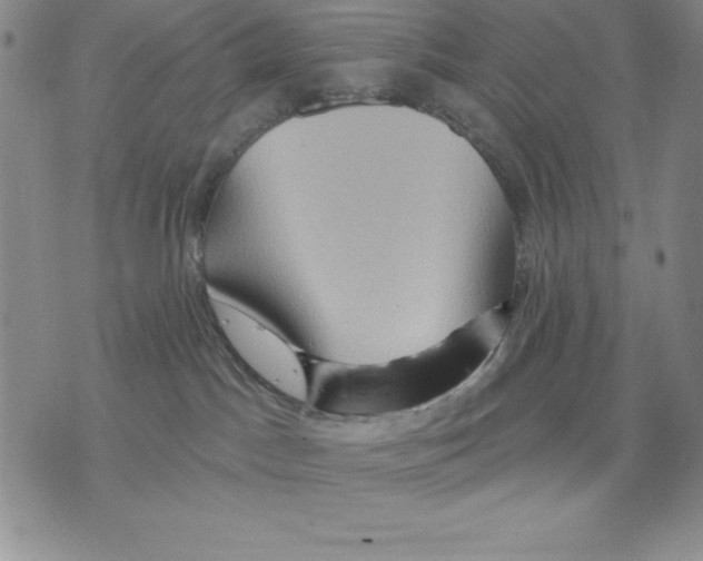 X0000075830045200610151531