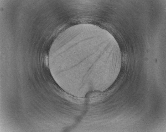 X0000075830046200610151531