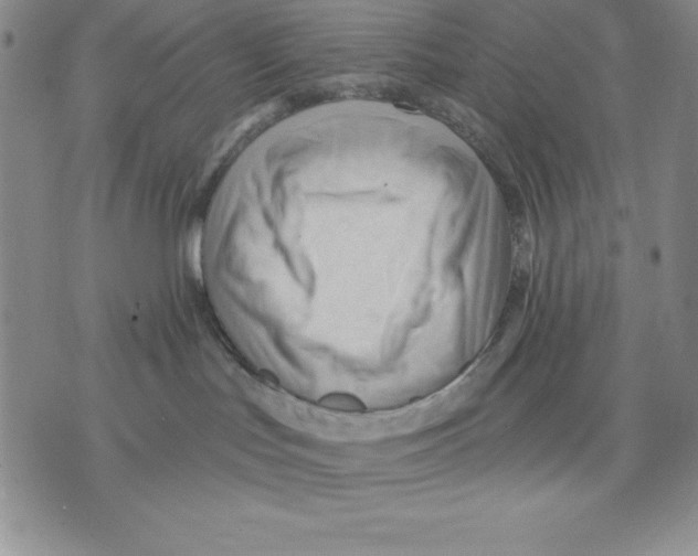 X0000075830047200610151531