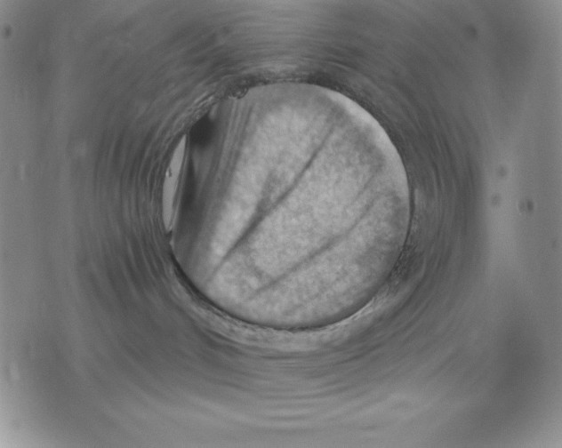 X0000075830048200610151531