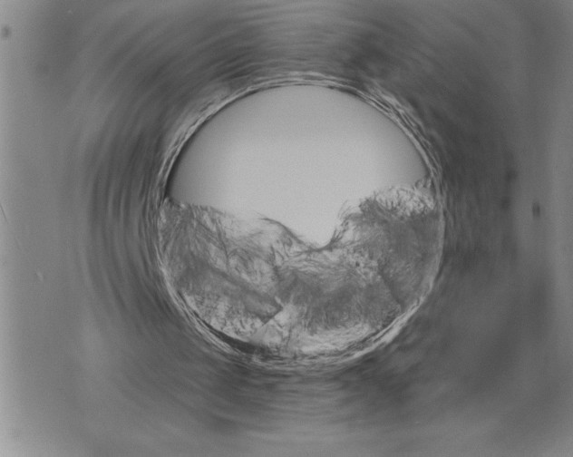 X0000075830049200610151530