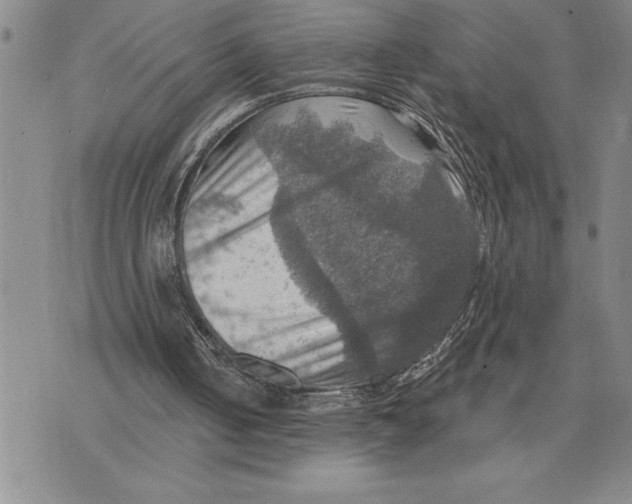 X0000075830050200610151530