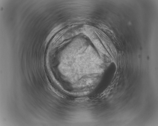 X0000075830051200610151530