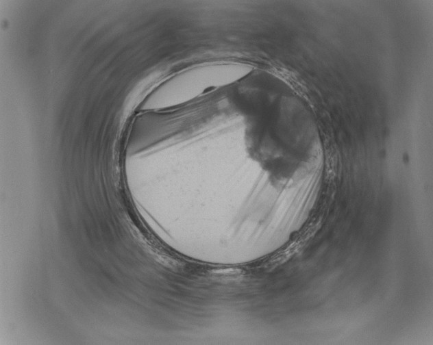 X0000075830053200610151530