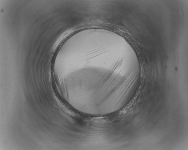 X0000075830054200610151530