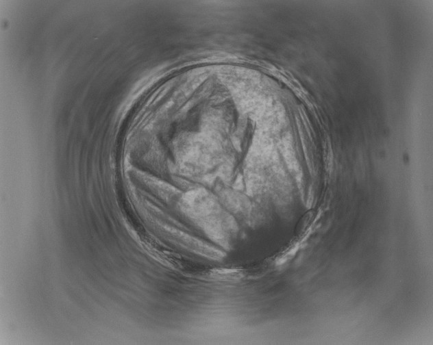 X0000075830055200610151530