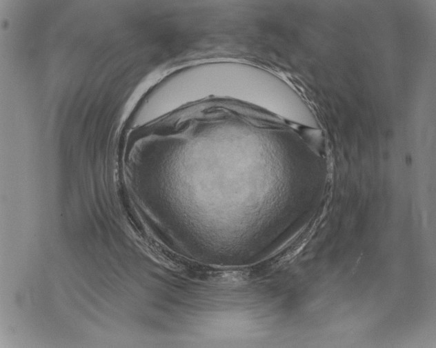 X0000075830056200610151530