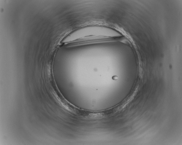 X0000075830057200610151530