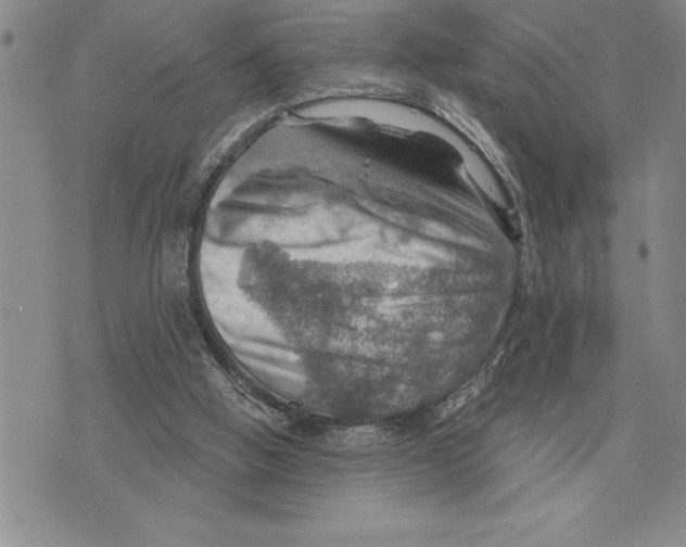 X0000075830058200610151530