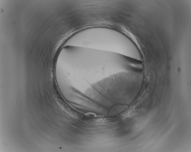 X0000075830059200610151530