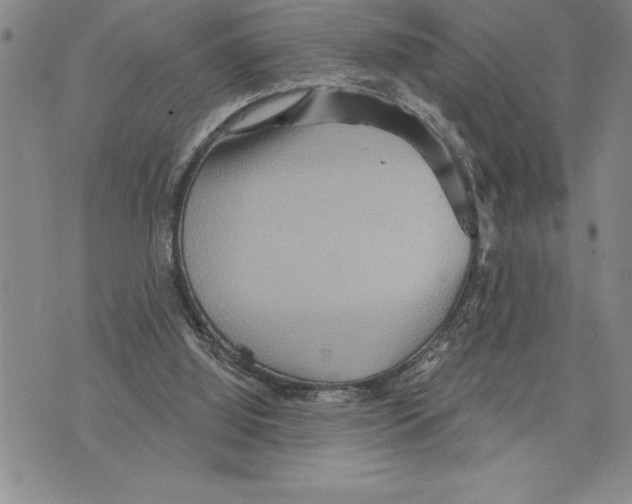 X0000075830060200610151530