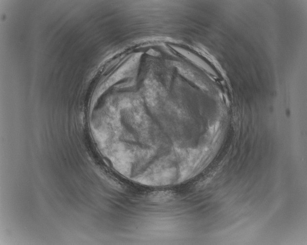 X0000075830063200610151530