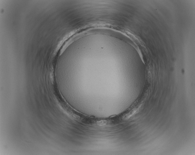 X0000075830064200610151530