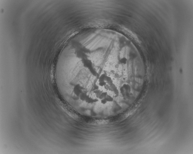 X0000075830065200610151530