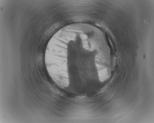 X0000075830066200610151530