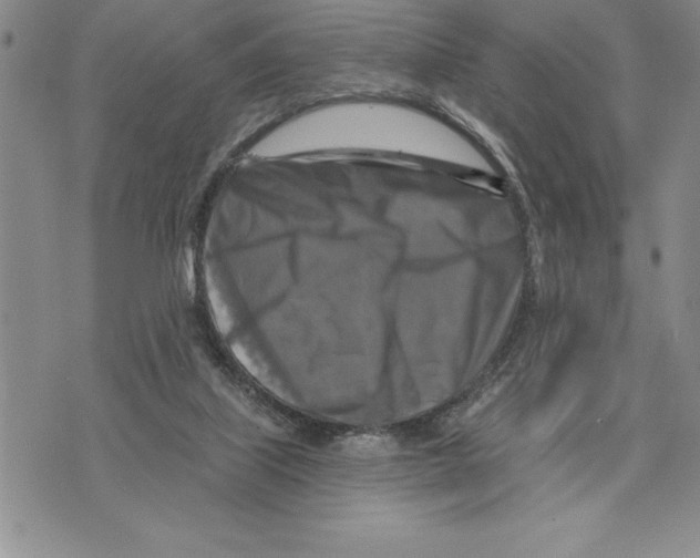 X0000075830067200610151530