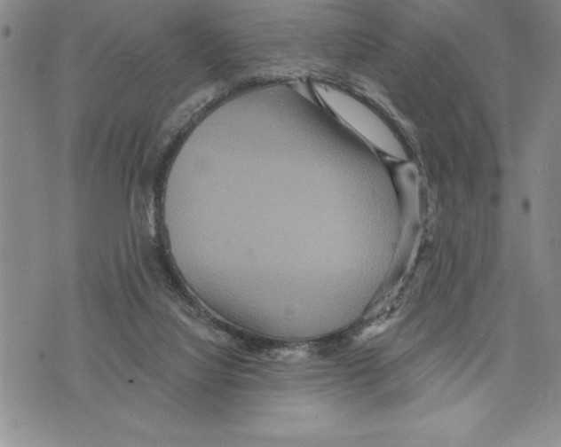 X0000075830068200610151530