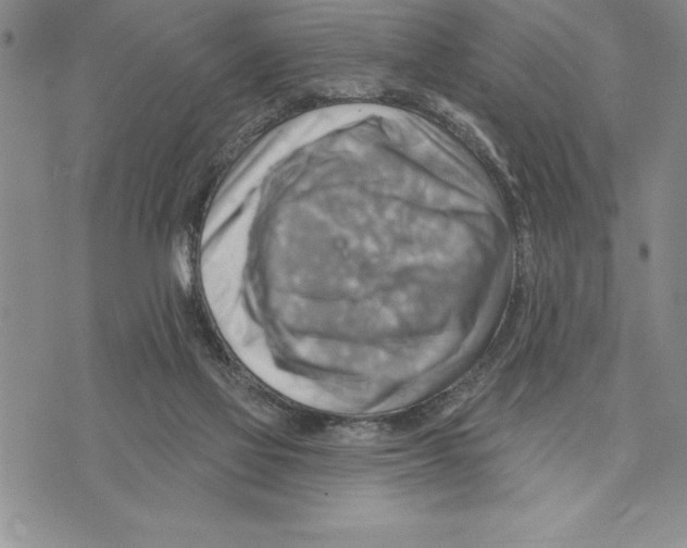 X0000075830069200610151530