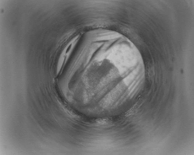 X0000075830070200610151530