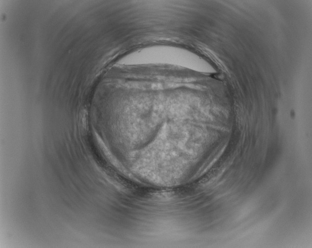 X0000075830071200610151530