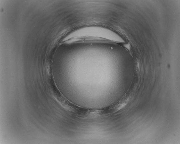 X0000075830072200610151530