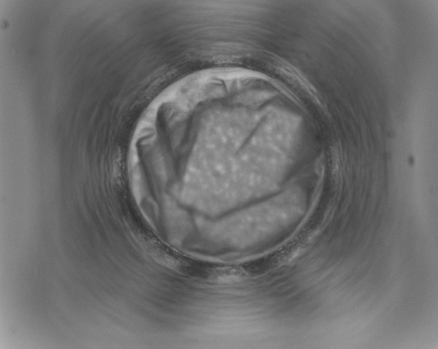 X0000075830073200610151530