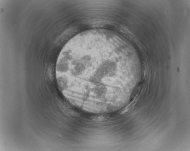 X0000075830074200610151530