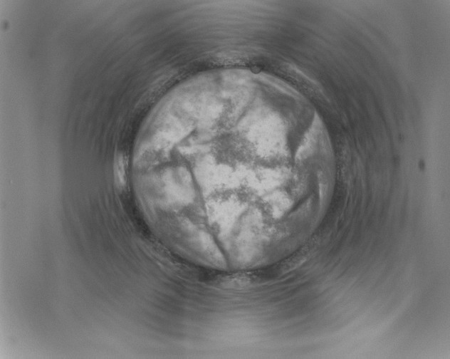 X0000075830075200610151530