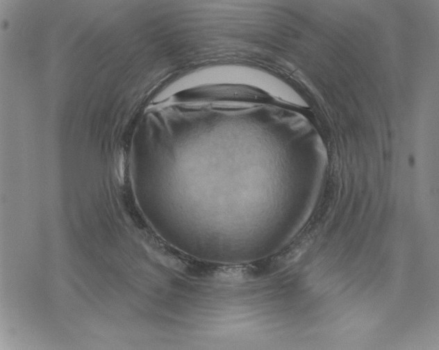 X0000075830076200610151530