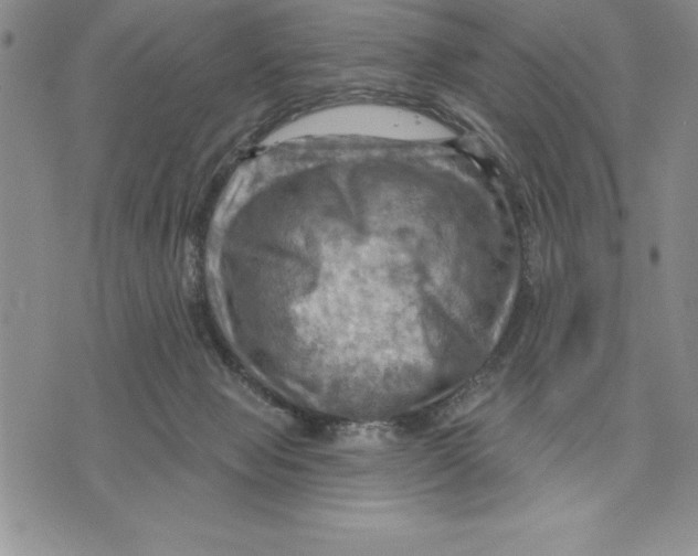 X0000075830077200610151530