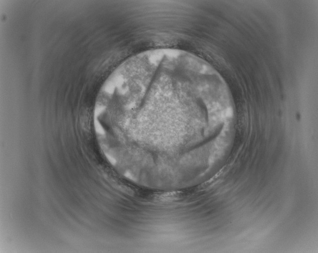 X0000075830078200610151530