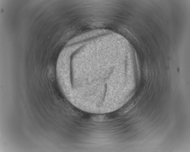 X0000075830079200610151530