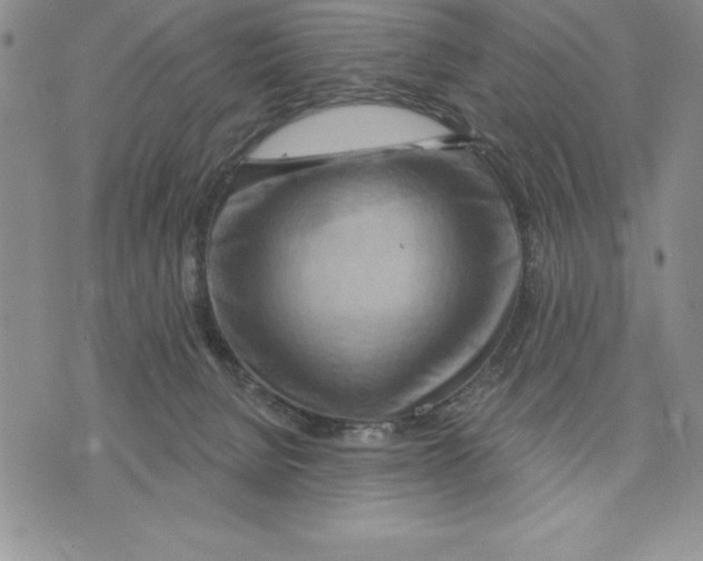 X0000075830080200610151530