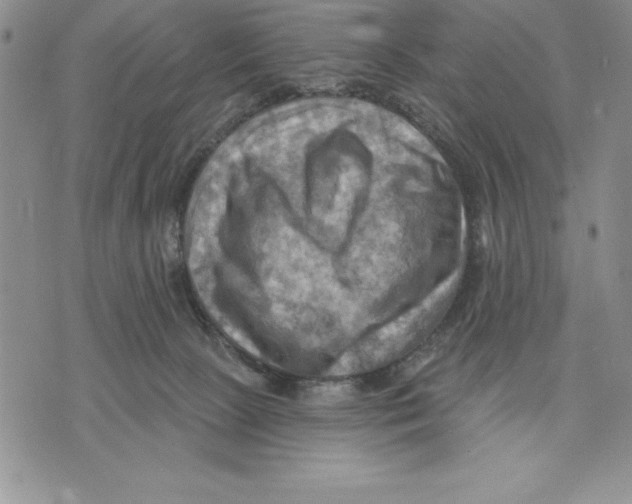 X0000075830081200610151530