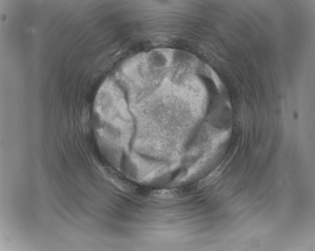 X0000075830082200610151530