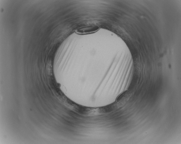 X0000075830083200610151530