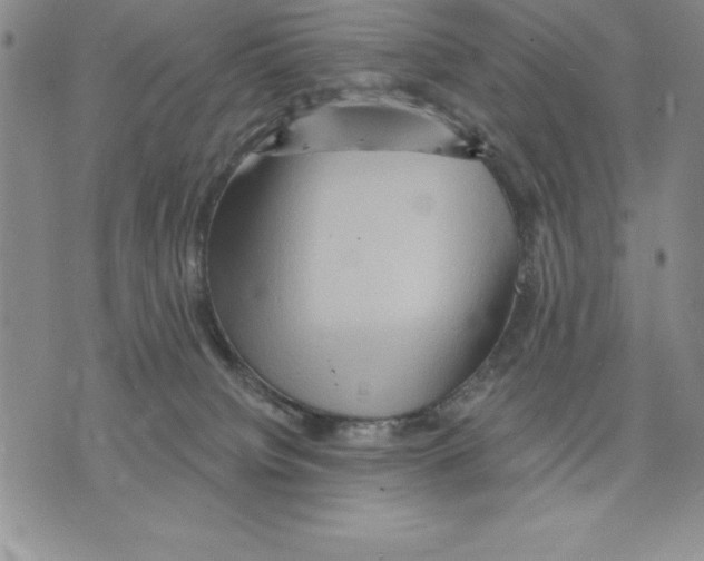 X0000075830084200610151531