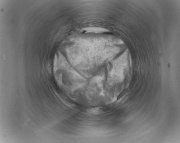 X0000075830086200610151531