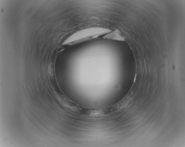 X0000075830088200610151531