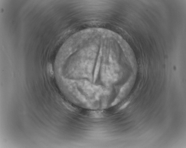 X0000075830089200610151531