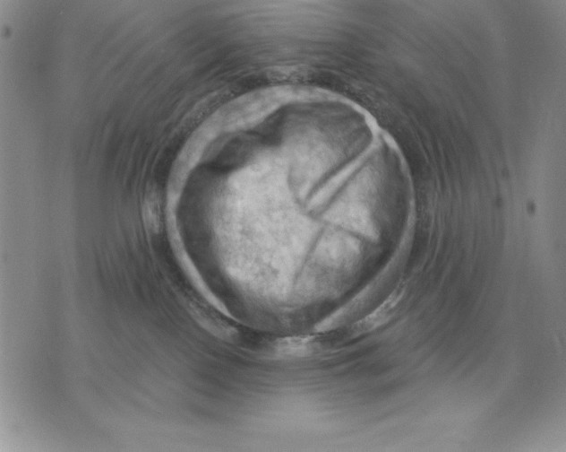 X0000075830090200610151531