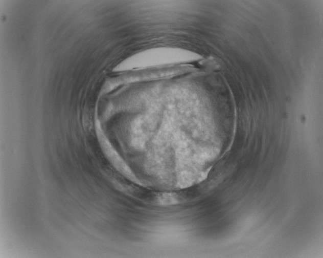 X0000075830091200610151531